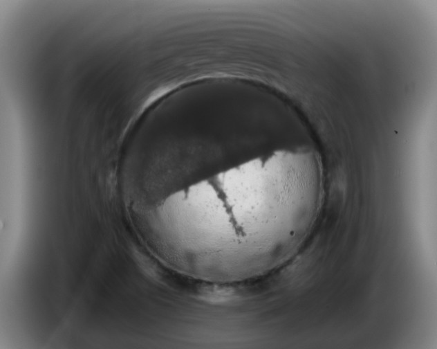 X0000086731505200704201636