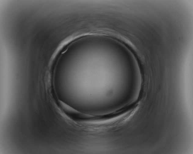 X0000086731506200704201636