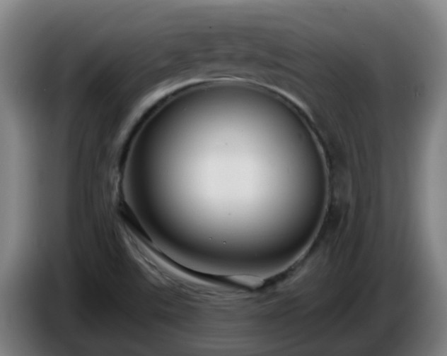 X0000086731507200704201636