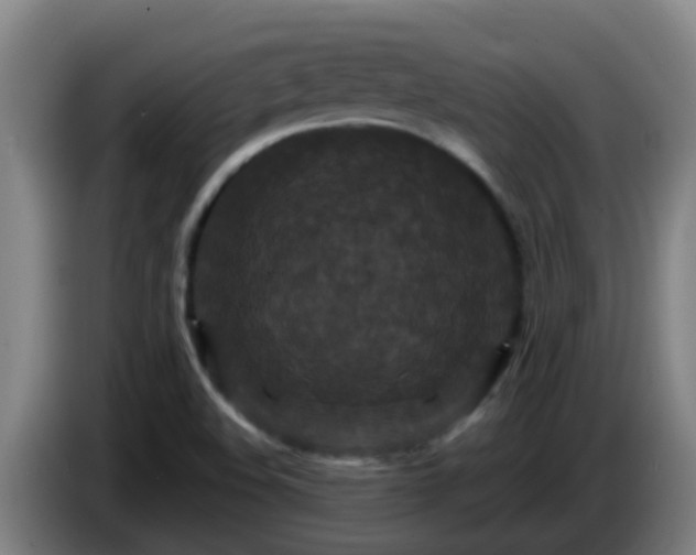 X0000086731508200704201636