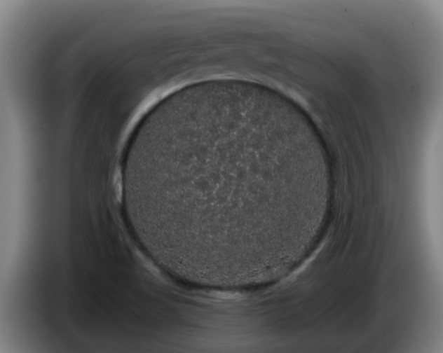 X0000086731509200704201636