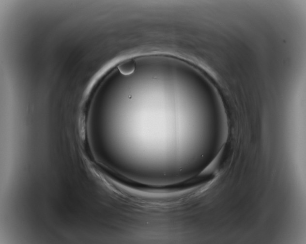 X0000086731510200704201636