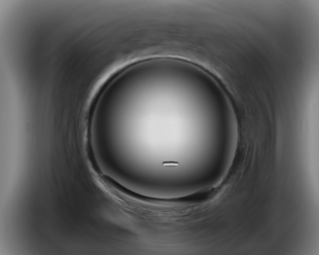 X0000086731511200704201636