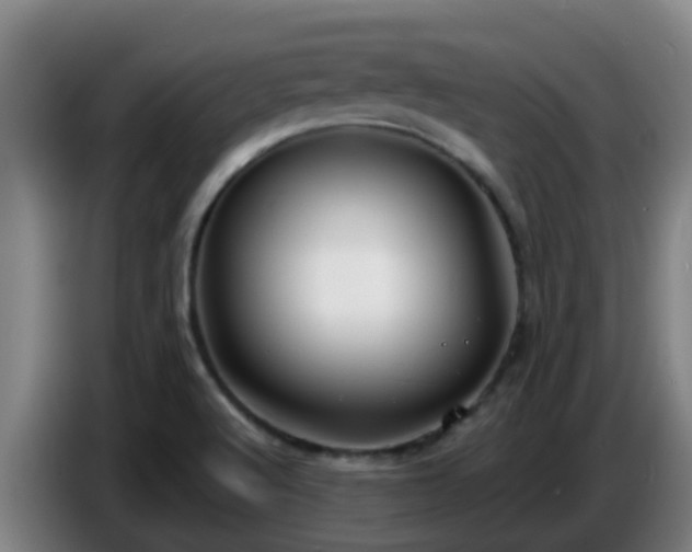 X0000086731512200704201636