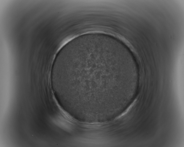 X0000086731513200704201636