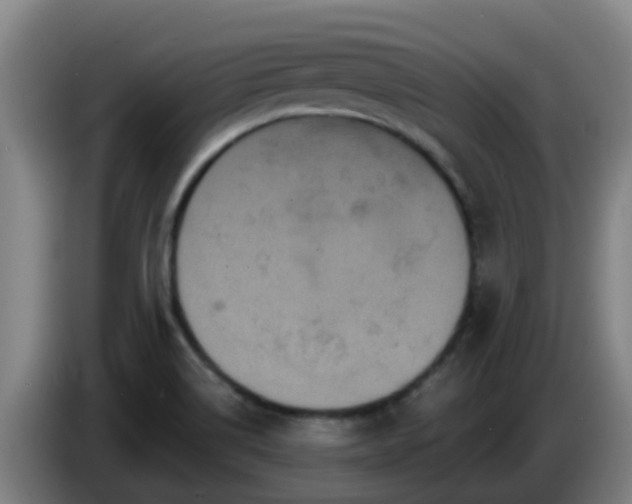 X0000086731514200704201636