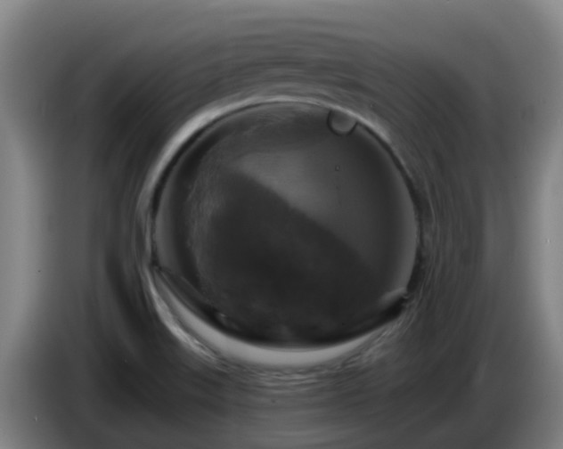 X0000086731515200704201636