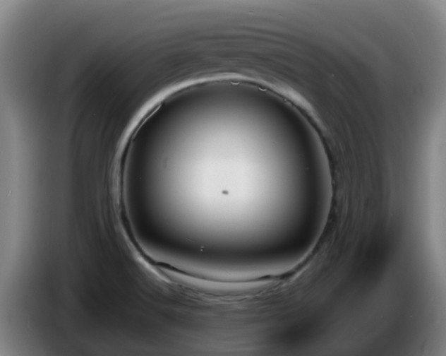 X0000086731516200704201636