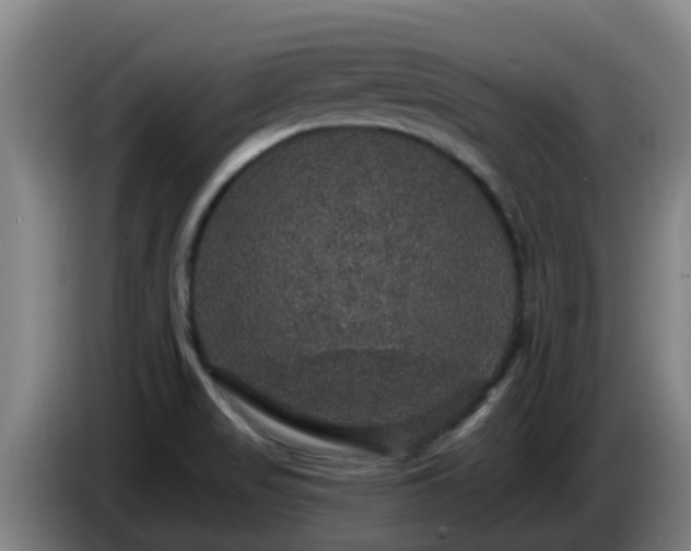 X0000086731517200704201636