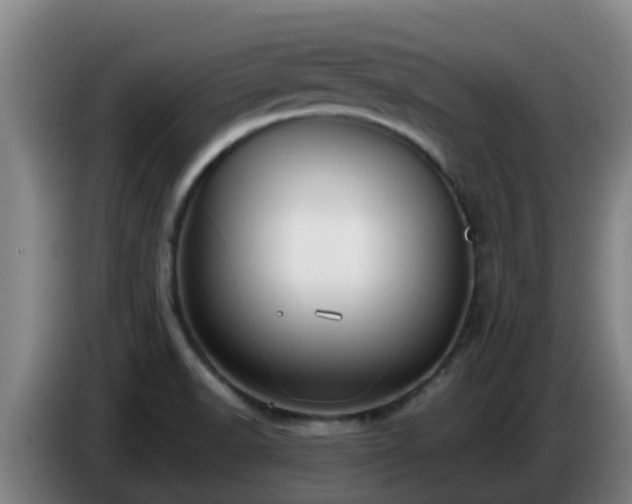 X0000086731518200704201636