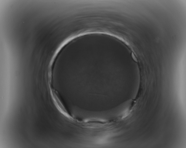 X0000086731519200704201636