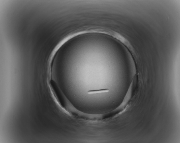 X0000086731520200704201636