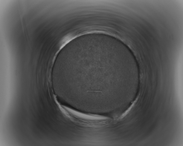 X0000086731521200704201636