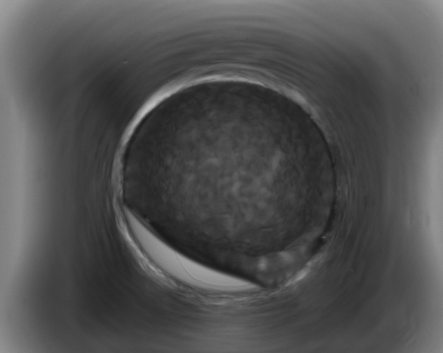 X0000086731522200704201636