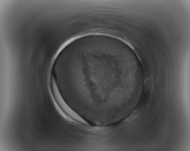 X0000086731523200704201636