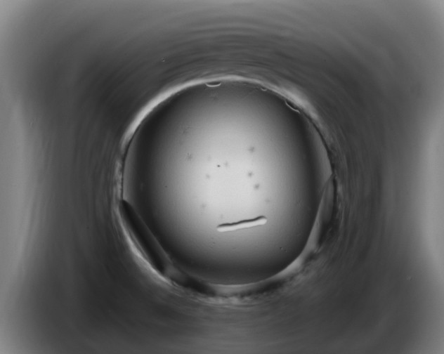 X0000086731524200704201636