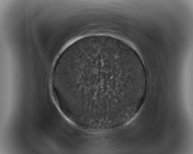 X0000086731525200704201636