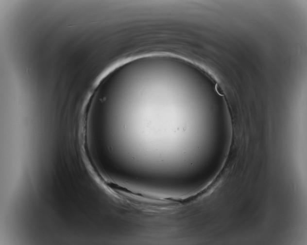 X0000086731526200704201636