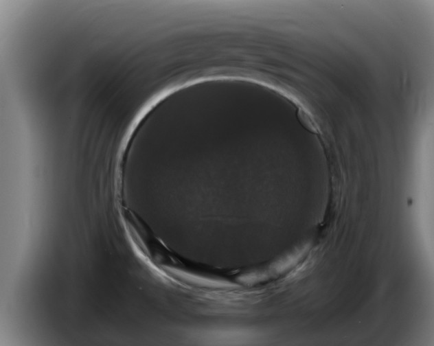 X0000086731527200704201636