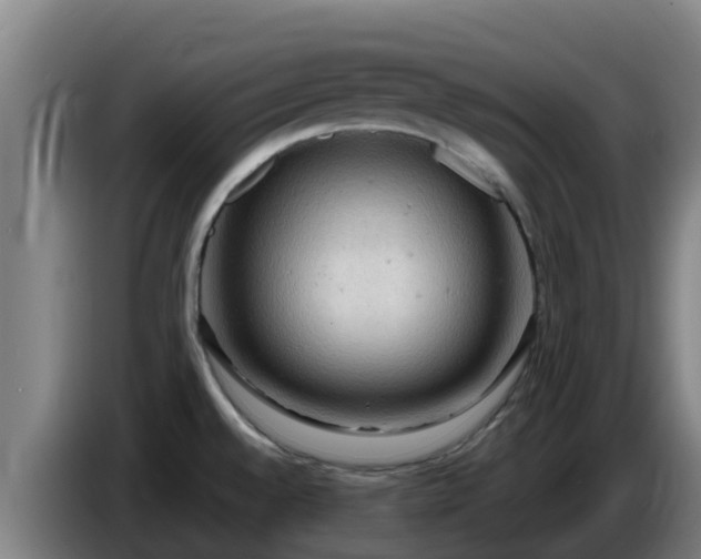 X0000086731528200704201636