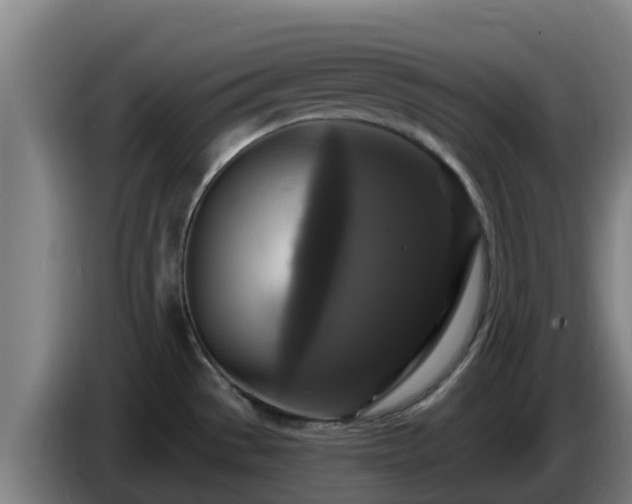 X0000086731529200704201636