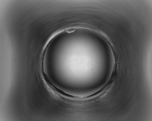 X0000086731530200704201636