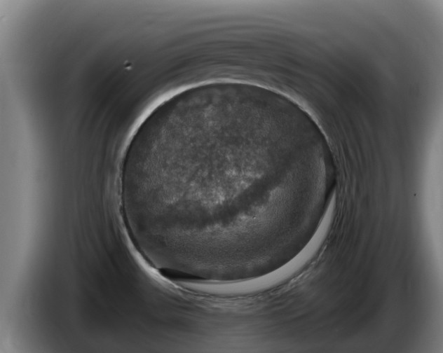 X0000086731531200704201636