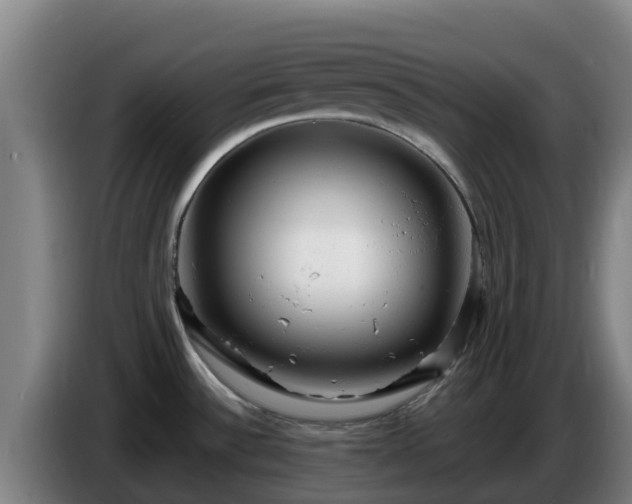 X0000086731532200704201636