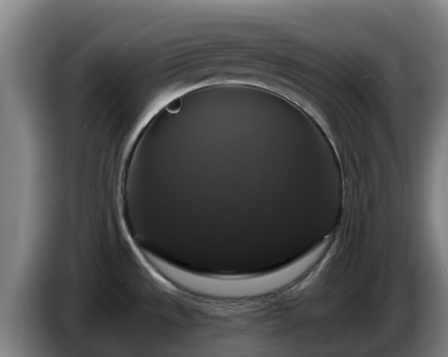 X0000086731533200704201636