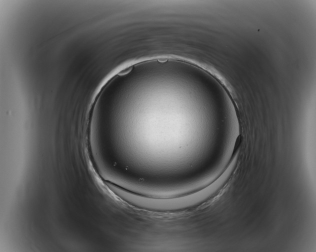 X0000086731534200704201636