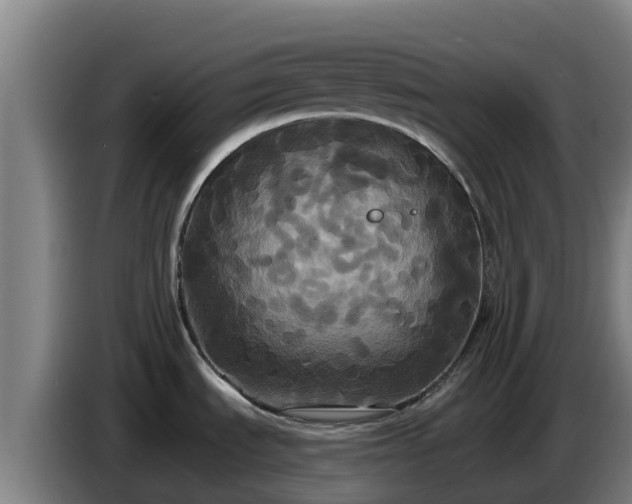 X0000086731535200704201636