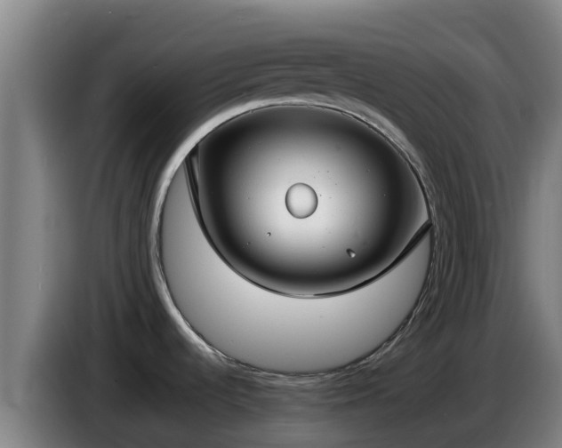 X0000086731536200704201636