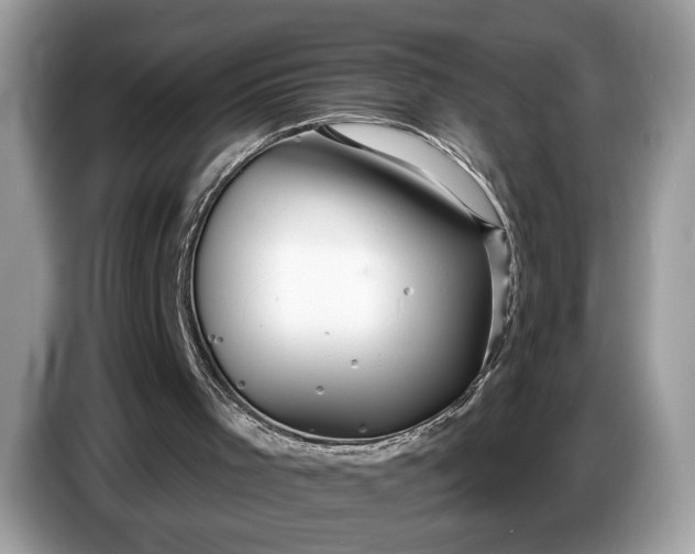 X0000086730001200704271640