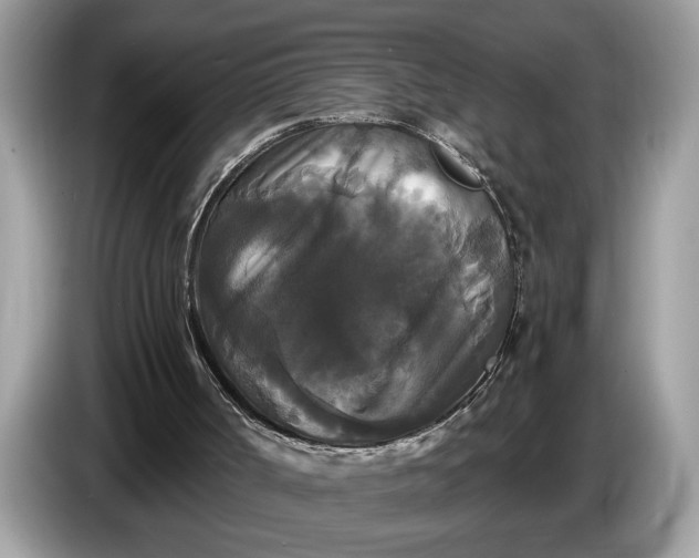 X0000086730002200704271640