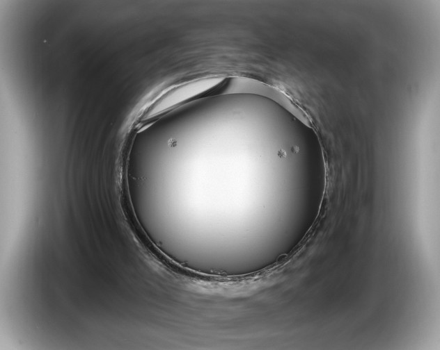 X0000086730005200704271640