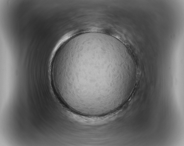 X0000086730006200704271640