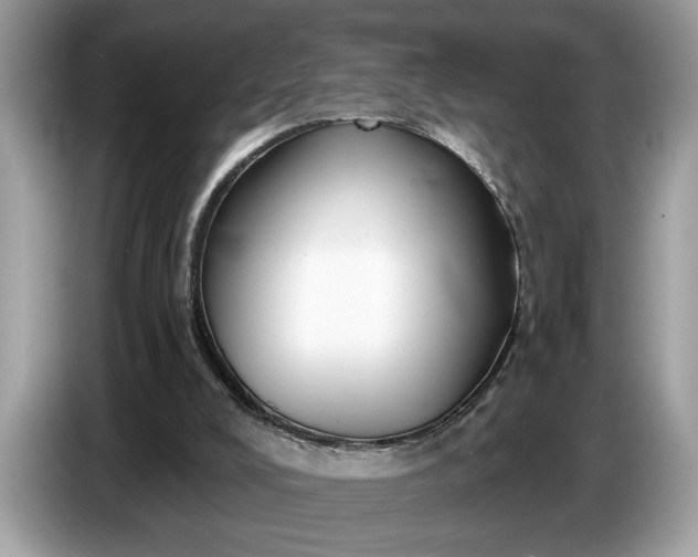 X0000086730008200704271640