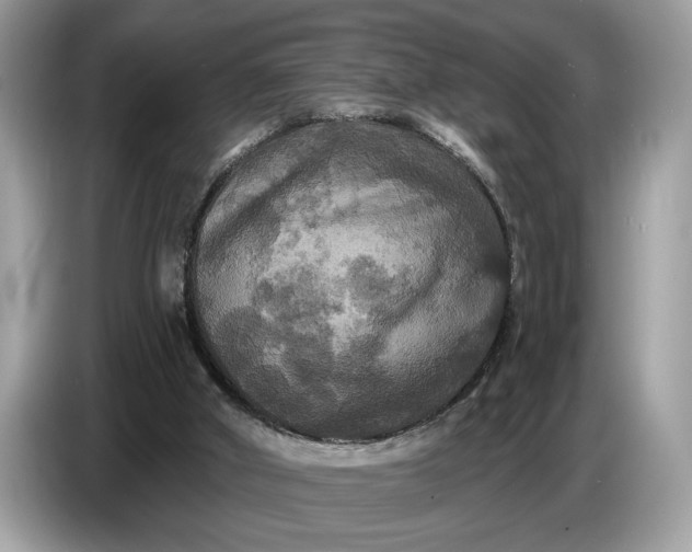 X0000086730010200704271639