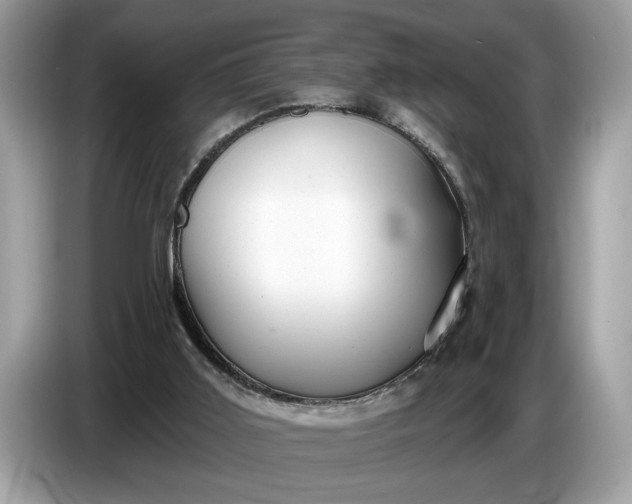 X0000086730011200704271639