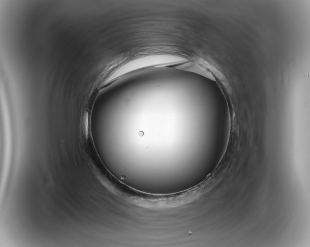 X0000086730013200704271639