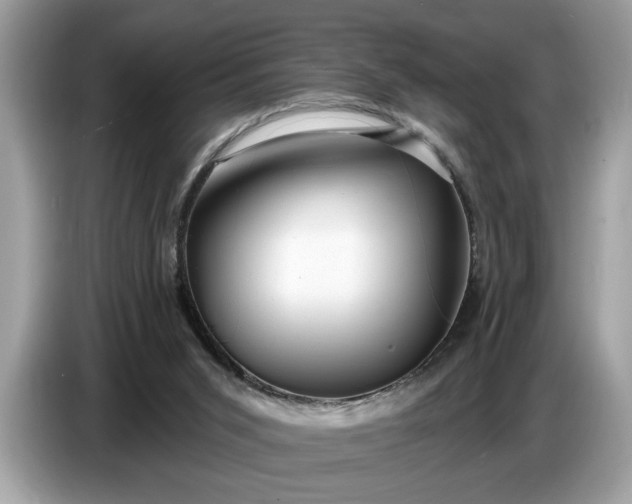 X0000086730015200704271639