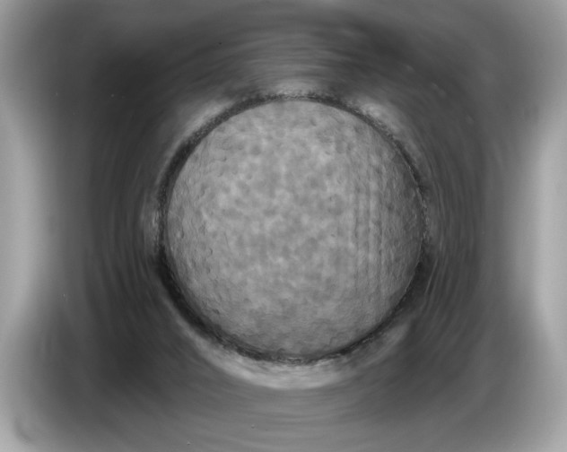 X0000086730016200704271639