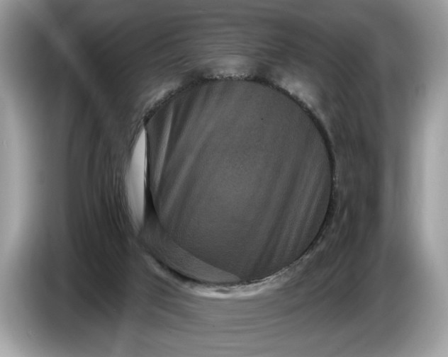 X0000086730017200704271639