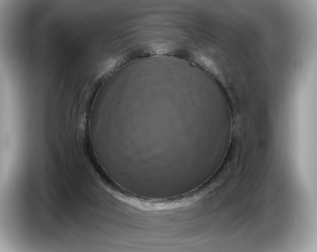 X0000086730018200704271639