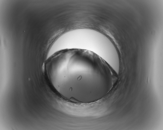 X0000086730019200704271639