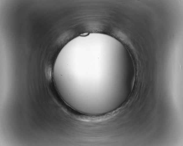 X0000086730021200704271639