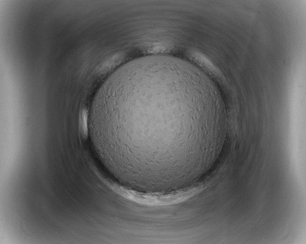 X0000086730022200704271639