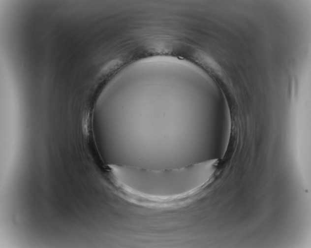 X0000086730023200704271639