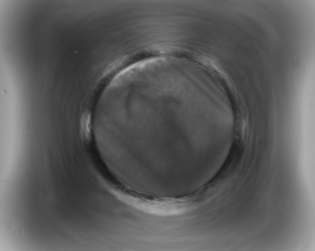 X0000086730024200704271639