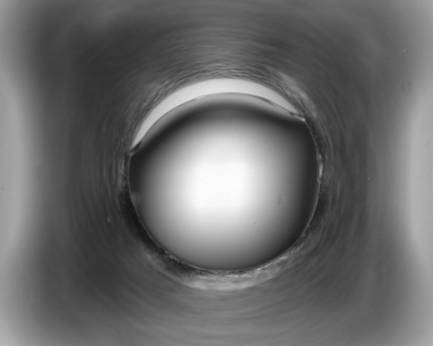 X0000086730025200704271639